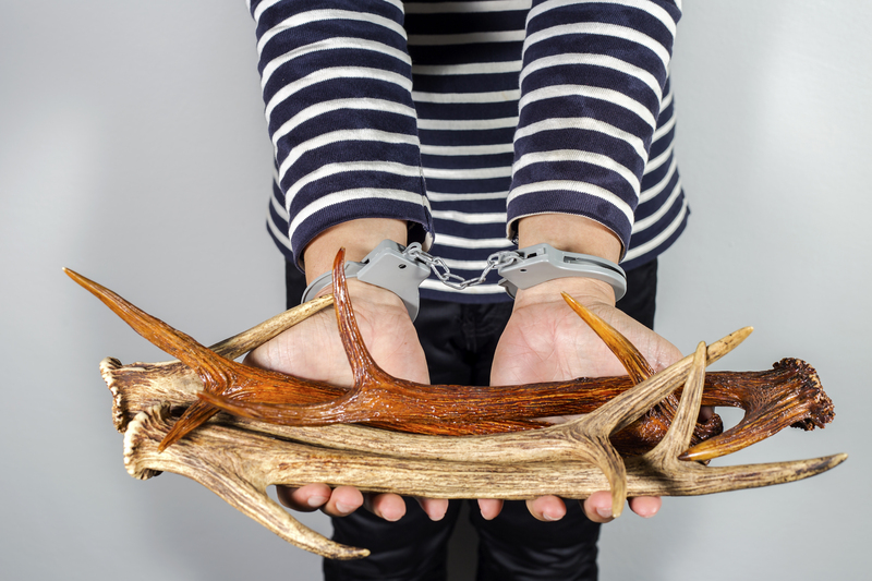 Rubbish removal Waste removal